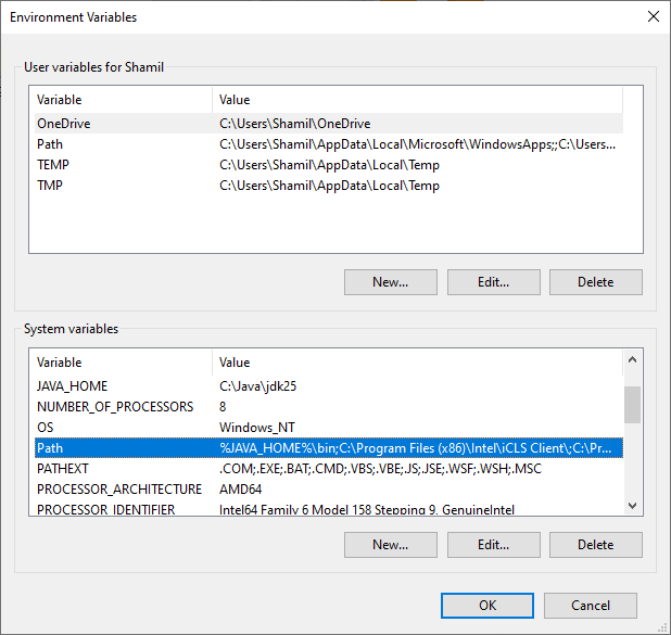 win java env